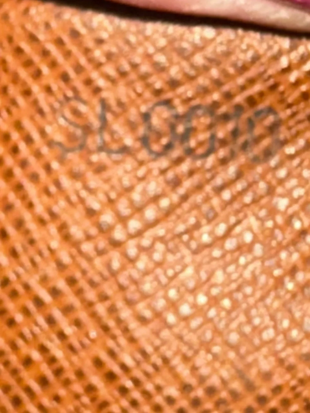 Louis Vuitton Monogram Danube crossbody